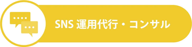 SNS運用代行・コンサル